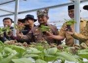 Mentan Sebut Penas Tani Konsolidasi Kekuatan Pertanian untuk Jaga Ketahanan Pangan