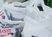 Hindari Ketergantungan Pupuk Kimia, Pemkab Tanahdatar Maksimalkan UPPO