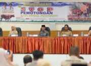 Pemkab Solsel Larang Sapi Betina Produktif Disembelih untuk Kurban