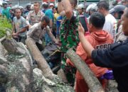 Driver Ojol Tertimpa Pohon di Padang Meninggal, Ini Identitasnya