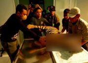 Ini Hasil Pemeriksaan Harimau Sumatera yang Tewas Terjerat di Pasaman