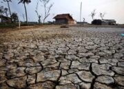 Kemenkes: Waspadai Dampak El Nino yang Picu Kasus Dengue