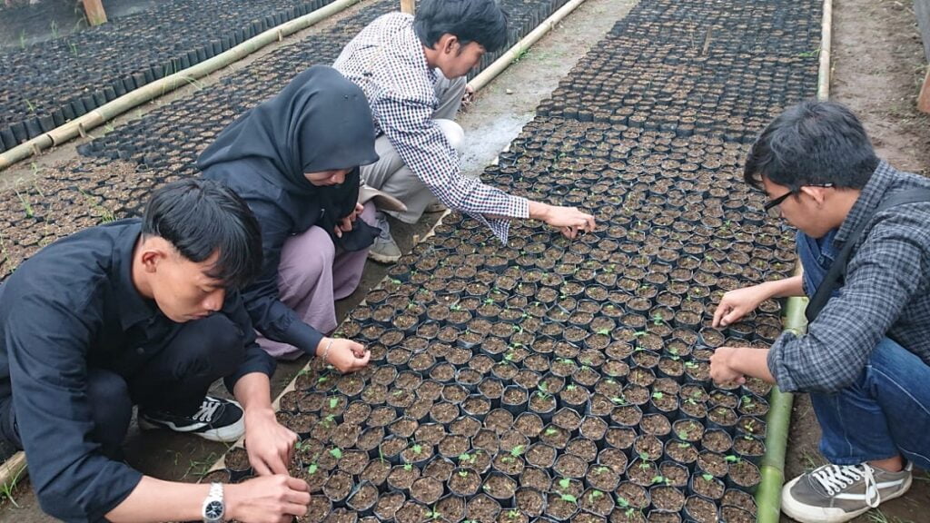 Penanaman kaliandra merah di halaman PPNP Limapuluh Kota. (Dok. Istimewa)