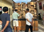 Terlibat Ilegal Logging, Tiga Orang Ditangkap di Padang Pariaman