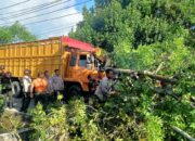 Hindari Motor, Sopir Truk Alami Luka-luka usai Hantam Pohon hingga Tumbang