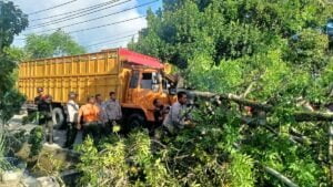 Pohon tumbang usai dihantam truk di kawasan Korong Gadang, Kecamatan Kuranji pada Senin (22/5/2023) sore. (Foto: Dok. Pusdalops PB)