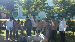 Bupati Agam Andri Warman menyaksikan pemotongan hewan kurban di Masjid Agung Nurul Falah Lubuk Basung, Kamis (29/6). (Dok. Antara/Yusrizal)