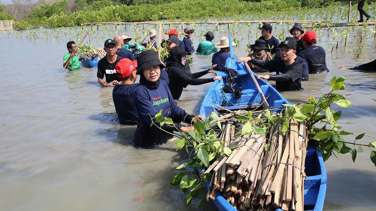 Telkomsel bersama Jejak.in melakukan penanaman pohon mangrove yang turut dihadiri oleh perwakilan pelanggan, komunitas lokal dan warga Desa Bedono, serta employee volunteer dari Telkomsel di Mangrove Bedono Demak, Selasa (13/6/2023). (dok. istimewa)