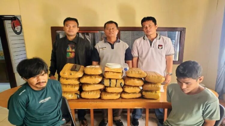 Satresnarkoba Polresta Bukittinggi menunjukkan barang bukti ganja 19 kilogram dari dua tersangka yang berhasil ditangkap (Antara/Al Fatah)