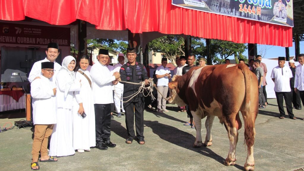 Kurban sapi Polda Sumbar yang diserahkan oleh Kapolda Irjen Pol Suharyono. (dok. Bidhumas)