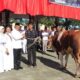Kurban sapi Polda Sumbar yang diserahkan oleh Kapolda Irjen Pol Suharyono. (dok. Bidhumas)