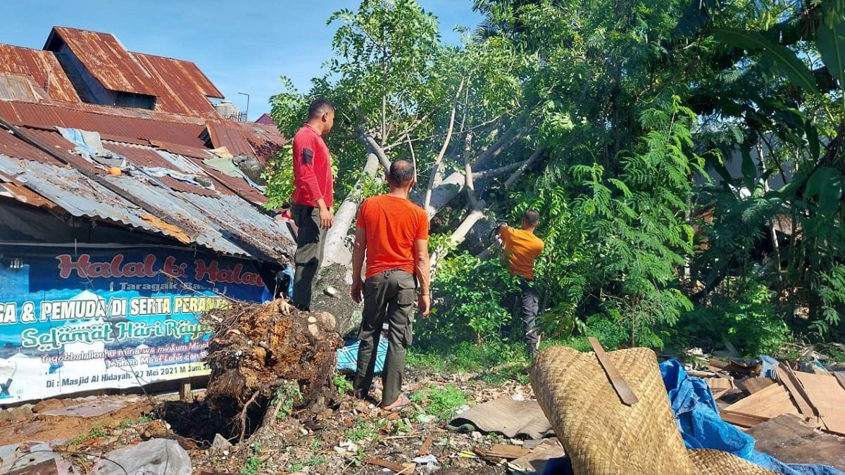 TEKS FOTO: Pohon tumbang timpa warung warga di kawasan Andalas, Kecamatan Padang Timur, Kota Padang pada Sabtu (10/6/2023) pagi. (Foto: Dok. Pusdalops PB)