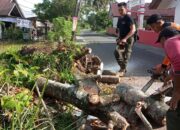 BPBD Padang Bersihkan Pohon yang Hambat Akses Jalan Masyarakat