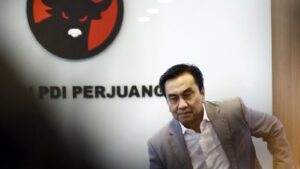 Kader PDI Perjuangan, Effendi Simbolon. (dok. Tribunnews.com)