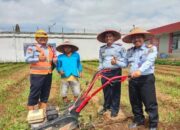 Lapas Bukittinggi Siapkan Lahan Produktif untuk Napi Bercocok Tanam