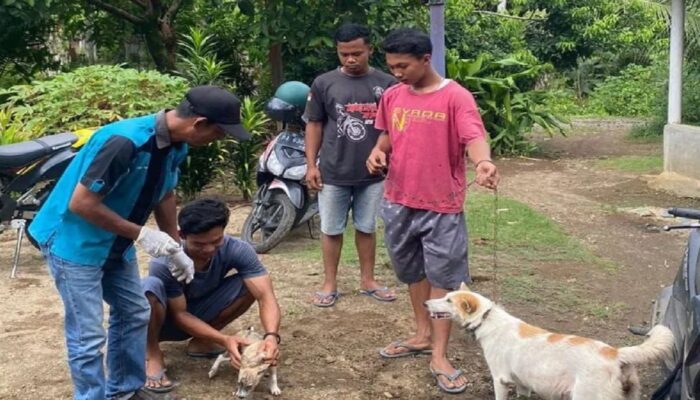 Pemkab Pasaman Barat Catat 105 Kasus Gigitan Hewan, Warga Diimbau Waspadai Rabies