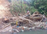Pohon Tumbang Hambat Aliran Sungai di Padang, BPBD Lakukan Ini