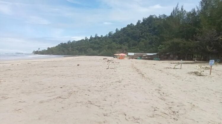 Selain menjadi destinasi wisata andalan Pasaman Barat, Pantai Sikabau Parit Koto Balingka juga potensi pengembangan tambak udang vaname serta daerah pantai lainnya di Pasaman Barat, Sabtu (22/7/2023). Antara/Altas Maulana.