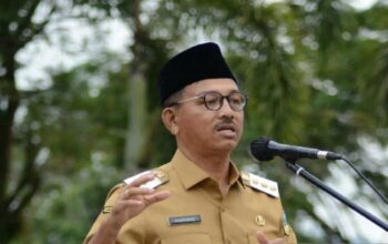 Bupati Solok Selatan, Khairunas. (Antara/Erik)