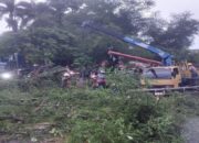 Pohon Tumbang Timpa Tiang Listrik di Padang, PLN Sarankan Ini ke Pemko