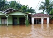 Banjir Bandang Landa Kampung Jambak Pasaman, 50 KK Terpaksa Mengungsi