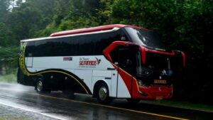 Bus Sembodo, salah satu bus yang melayani rute Padang-Jakarta. (dok. istimewa)