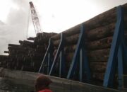 Polisi Libatkan Ahli Hukum Pidana untuk Pastikan Laporan terkait Penghadangan Kayu di Mentawai