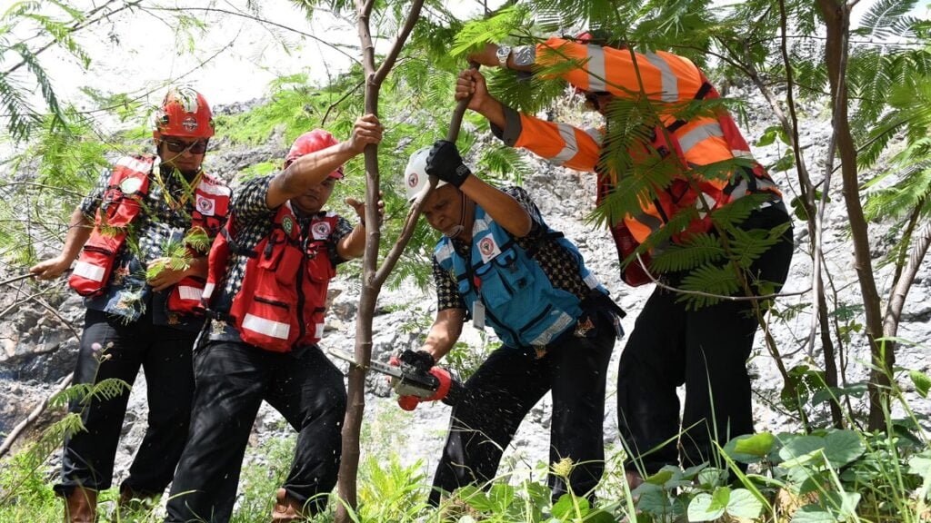 Dirut PT Semen Padang Asri Mukhtar Dt Tumangguang Basa melakukan panen perdana tanaman kaliandra di area reklamasi bekas tambang batu kapur. Kaliandra yang ditanam pada tahun 2022 ini akan digunakan untuk mensubstitusi bahan bakar batubara pada proses produksi semen. (dok. Humas)