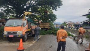 Pemotongan pohon pelindung yang mengancam warga di Lolong Belanti, Padang. (dok. istimewa)