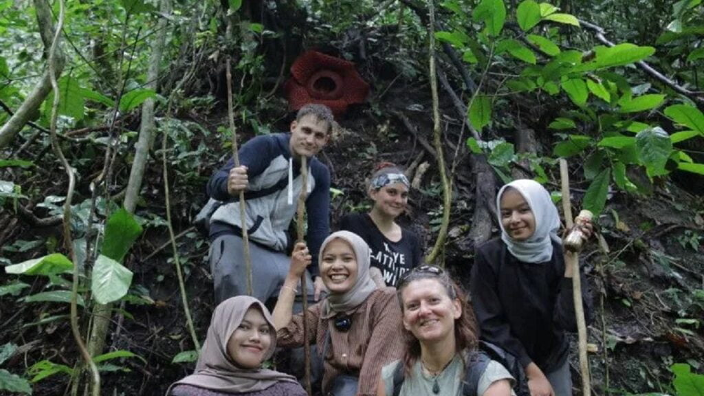 Rafflesia mekar sempurna di Batang Palupuh, Kabupaten Agam menarik perhatian wisatawan asing. (dok. Antara)