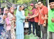 Ada 500 Hektar Lahan Kosong di Salingka Danau Maninjau untuk Ditanami Kaliandra