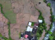 Antisipasi Kerugian akibat El Nino, Pemko Padang Ajak Petani Asuransikan Sawah