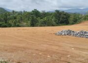 Areal Persawahan Terus Susut, Produksi Padi di Padang Belum Penuhi Kebutuhan Masyarakat