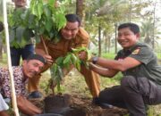 Pemerintah Desa Rambai Pariaman Tanam Ribuan Pohon di Lahan Tidur