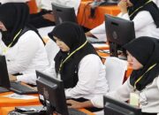 Pendaftaran CPNS 2023 Dibuka September, Ini Jadwal Resminya