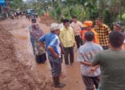 Bupati Limapuluh Kota Instruksikan Tanggap Darurat 3 Hari Pascalongsor Ladang Laweh