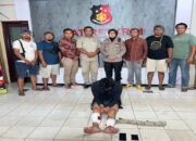 Kabur ke Padang, Pelaku Pembunuhan di Limapuluh Kota Diciduk Polisi