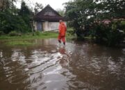Hujan Deras dan Longsor di Bukittinggi, Lahan Pertanian Ikut Terdampak