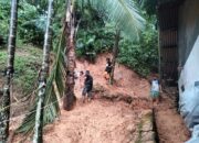 Hujan Deras di Padang akibatkan Pohon Tumbang dan Longsor Hantam Rumah Warga