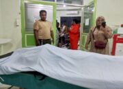Warga Padang Meninggal usai Ditimpa Pohon Tumbang, Ini Kronologinya