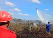 BMKG Catat Lonjakan Titik Panas di Riau, Penanganan Dipercepat