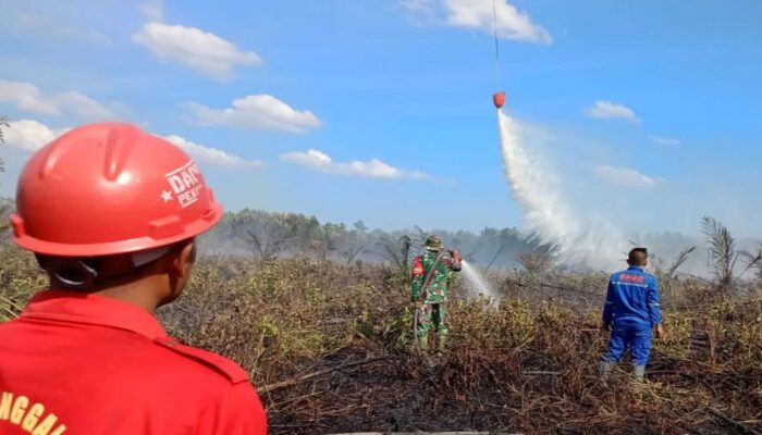 BMKG Catat Lonjakan Titik Panas di Riau, Penanganan Dipercepat