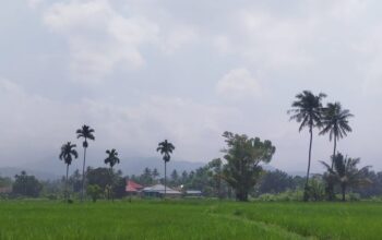 Langit Kota Padang terlihat berkabut kendati cuaca sedang cerah. (Foto: Dok. Diskominfo Padang)