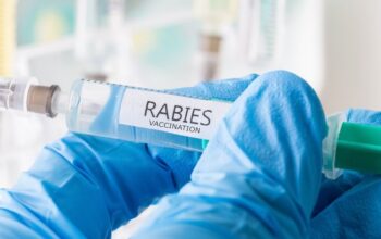 53 Kasus Rabies Tercatat di Sumbar, Balai Karantina Gelar Vaksinasi Hewan Gratis
