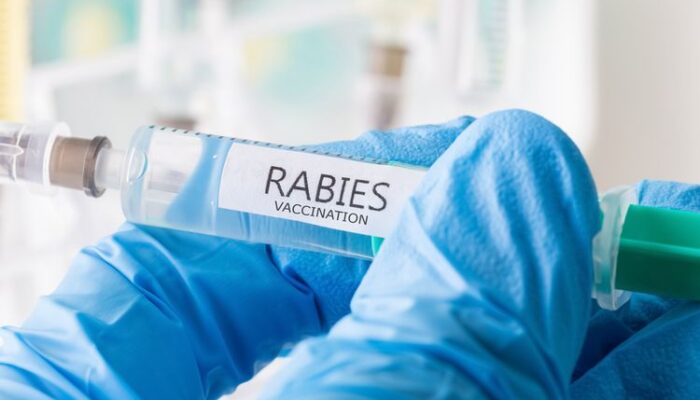 53 Kasus Rabies Tercatat di Sumbar, Balai Karantina Gelar Vaksinasi Hewan Gratis