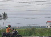 Pemko Pariaman Belum Larang Warga Bakar Sampah Kurangi Dampak Kabut Asap, Ini Alasannya