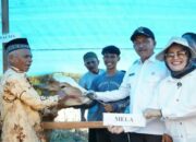 Wujudkan Ketahanan Pangan, Pemkab Solsel Integrasikan Program Desa Tageh-Suka Sapi