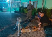 Manusia Silver di Padang Ditangkap, Rusak Mobil Pengendara Jika tak Diberi Uang