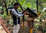 Lewat Program Rumah BUMN, Madu Galo-Galo Cupiang Go Global