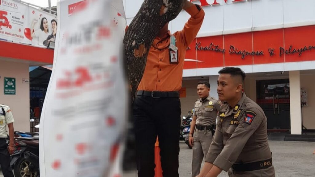 Penertiban reklame di pohon oleh Satpol PP Padang. (dok. Diskominfotik Padang)